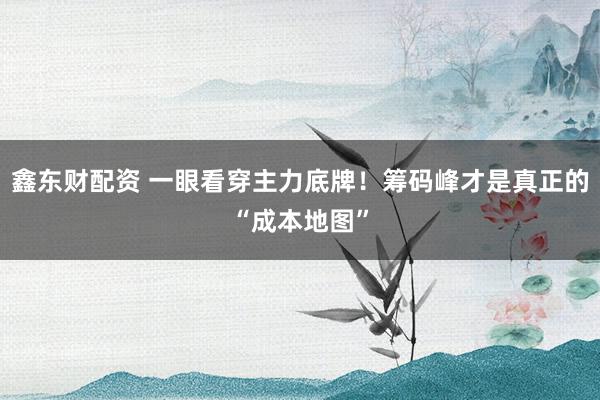 鑫东财配资 一眼看穿主力底牌！筹码峰才是真正的“成本地图”