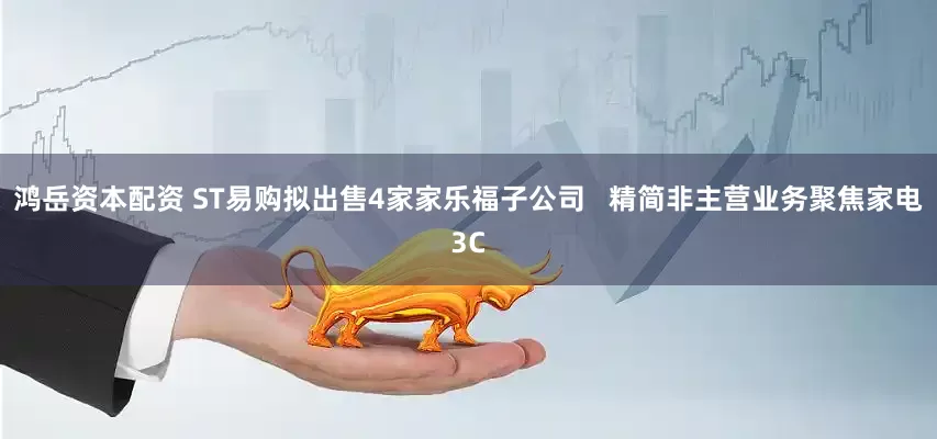鸿岳资本配资 ST易购拟出售4家家乐福子公司   精简非主营业务聚焦家电3C
