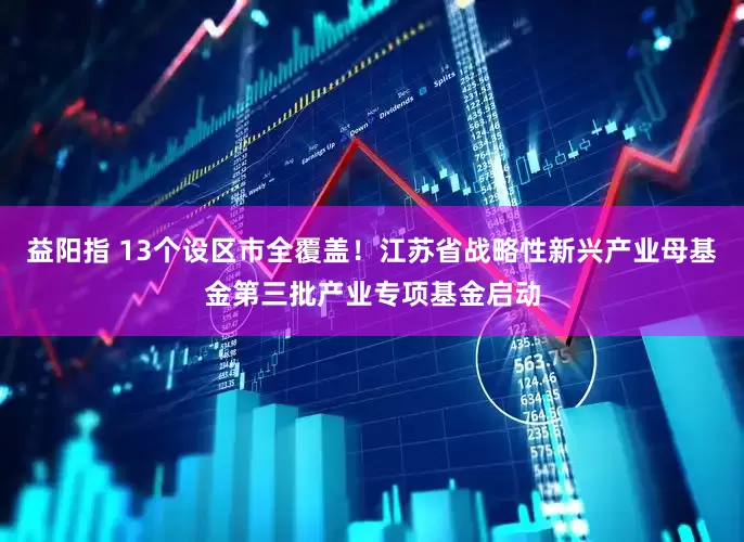 益阳指 13个设区市全覆盖！江苏省战略性新兴产业母基金第三批产业专项基金启动