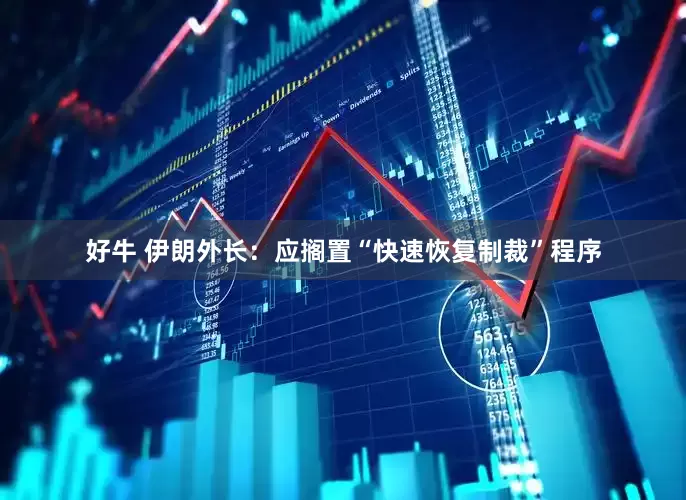 好牛 伊朗外长：应搁置“快速恢复制裁”程序